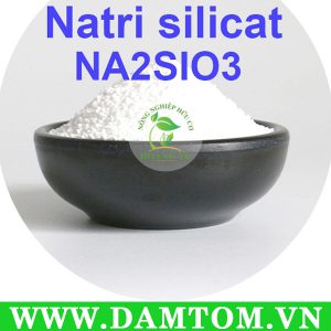 Cây được cung cấp đủ Silic (SiO2) sẽ tạo chất diệp lục thuận lợi