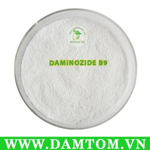 Daminozide-B9 Ức chế sinh trưởng, phân cành