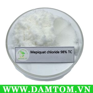 Mepiquat Chloride 98% chất ức chế sinh trưởng, kiểm soát chiều cao, tăng năng suất